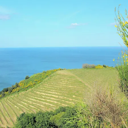 Appartement Sunny In Hills, Cleaning Included Tavullia